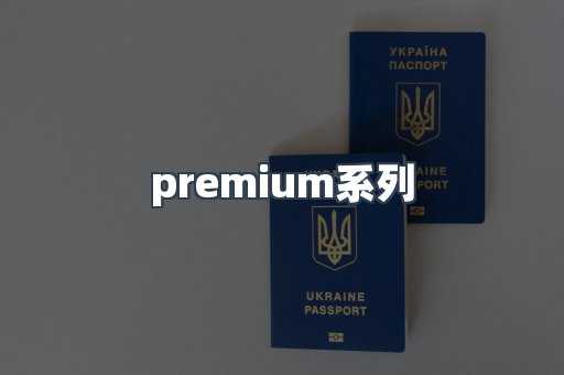 premium系列